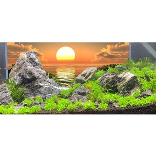 [Tặng Đồ Dán+Sticker] Tranh 3d dán bể cá trang trí bể cá nhiều kích thướt chọn lựa mã tranh