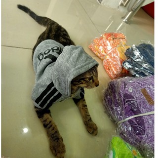 Áo Nỉ ADIDOG Cho Chó Mèo