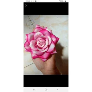 Combo 10 Đầu bông hồng nhung hàng tàu cao cấp