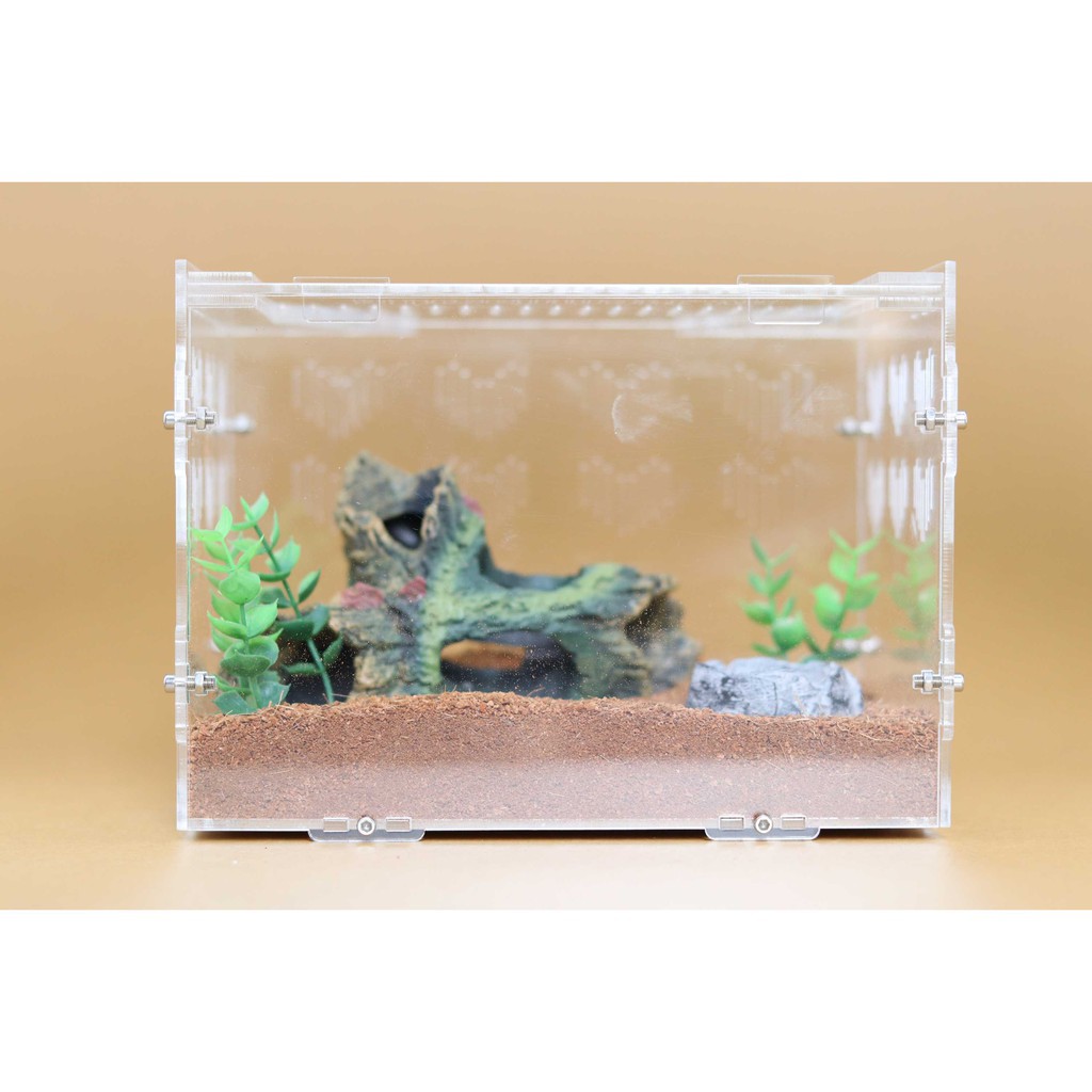 Hộp Nuôi Nhện Cao Cấp 20-15-15 (tank tarantula)
