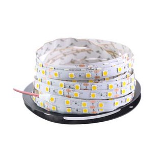 LED DÂY DÁN 5050