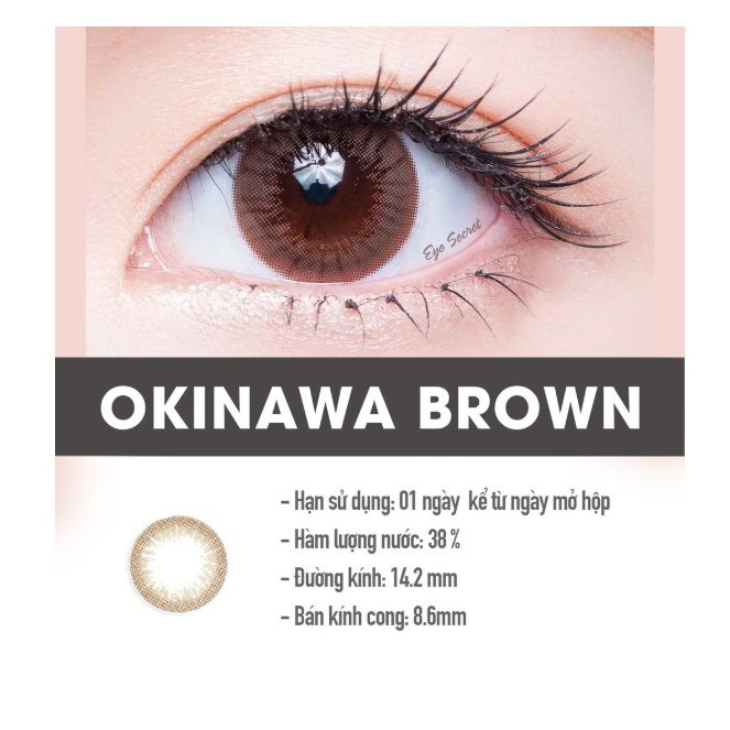 Kính áp tròng 1 ngày Eye Secret màu Okinawa Brown - LENS EYE SECRET - LENS 1 NGÀY