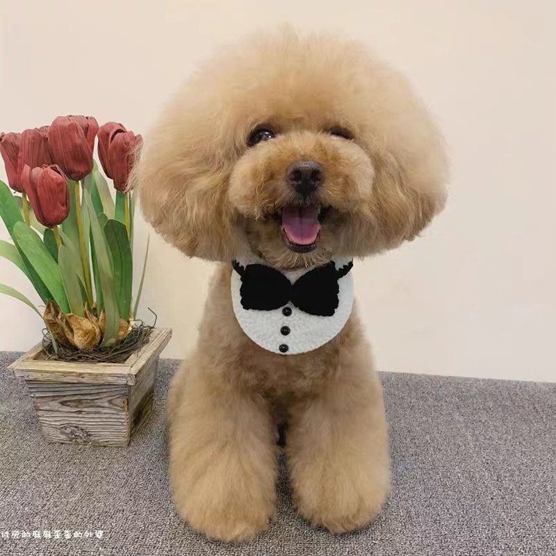 Yếm áo vest cho chó mèo, yếm trắng dễ thương len handmade CHILLMEOW