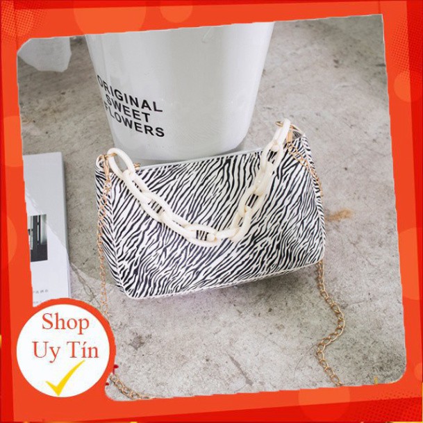 Túi kẹp nách, túi đeo vai họa tiết ngựa vằn phối xích phong cách Retro DC09 [Hàng đẹp giá tốt] | BigBuy360 - bigbuy360.vn