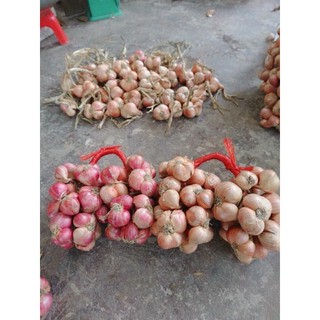 Hành khô sạch nhà trồng...