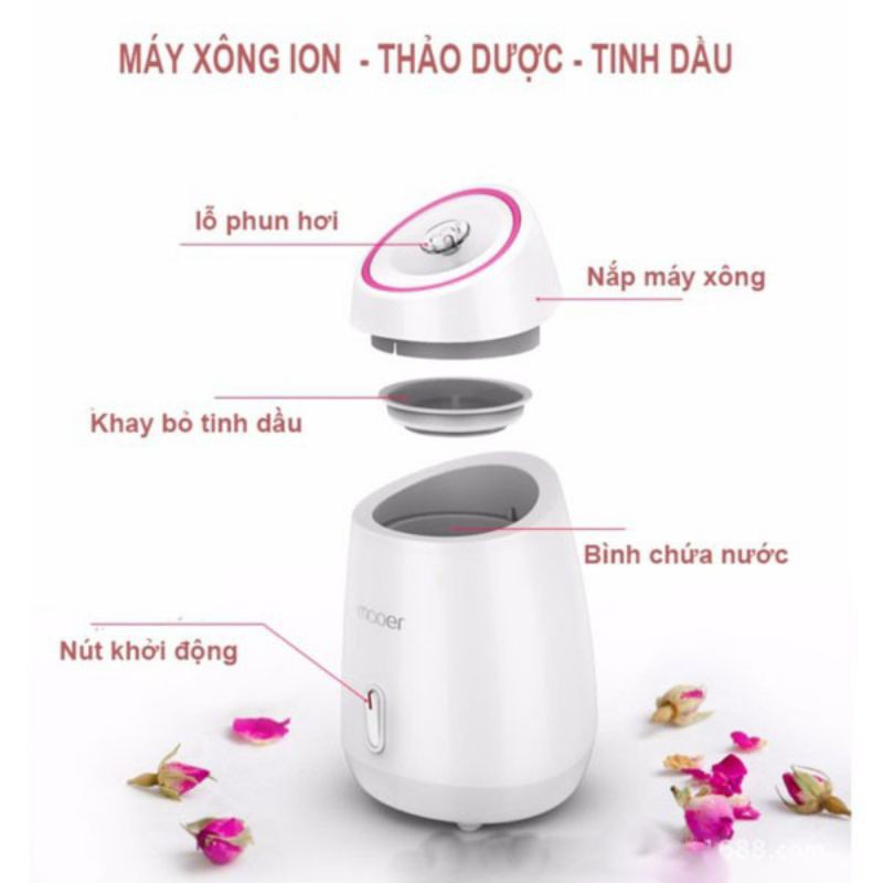 Máy Xông Mặt Thảo Dược Hoa Quả Tươi MAOER Đào Thải Độc Tố Dưỡng Ẩm Đẹp Da