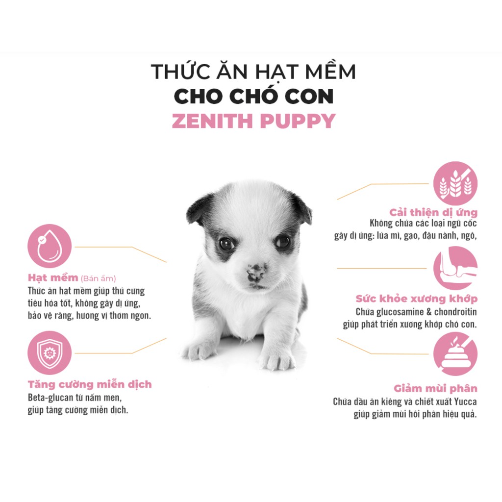 Hạt cho chó con hạt mềm Zenith Puppy 500g thức ăn ẩm cho cún nhỏ dưới 12 tháng Con Mèo Xiêm