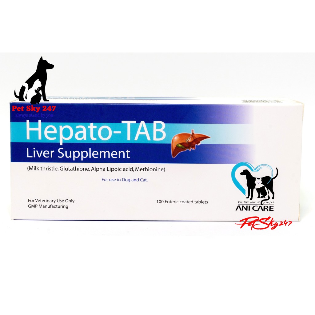 Thực Phẩm Chức Năng Hỗ Trợ Gan Trên Chó Mèo HEPATO-TAB 1 Vĩ 10 Viên