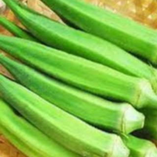 20gram HẠT GIỐNG ĐẬU BẮP