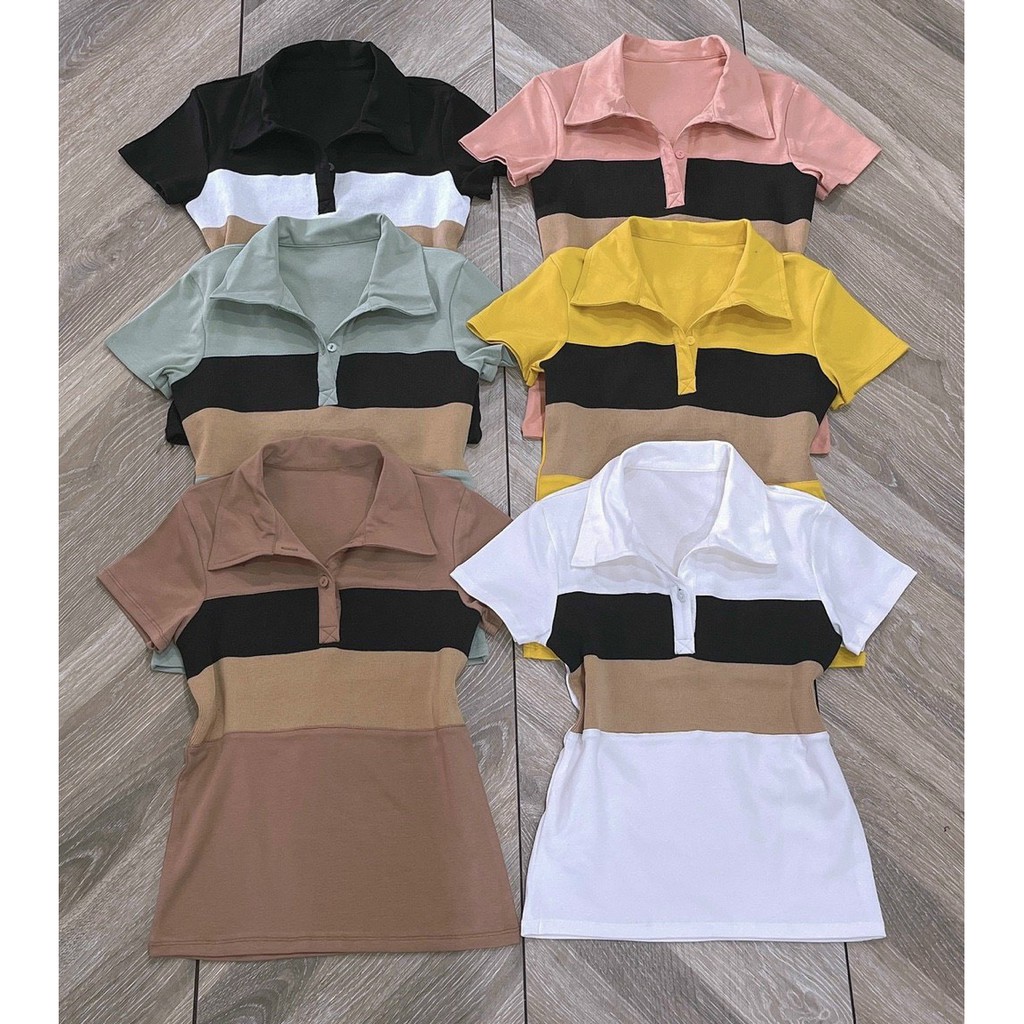 áo polo cổ bẻ viền màu thun ở ngực ảnh thật