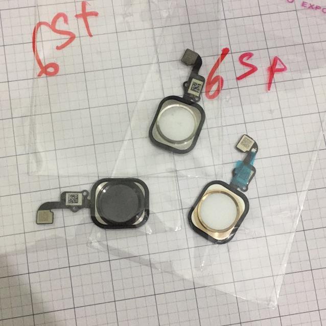 Cáp home iphone 6s plus ,