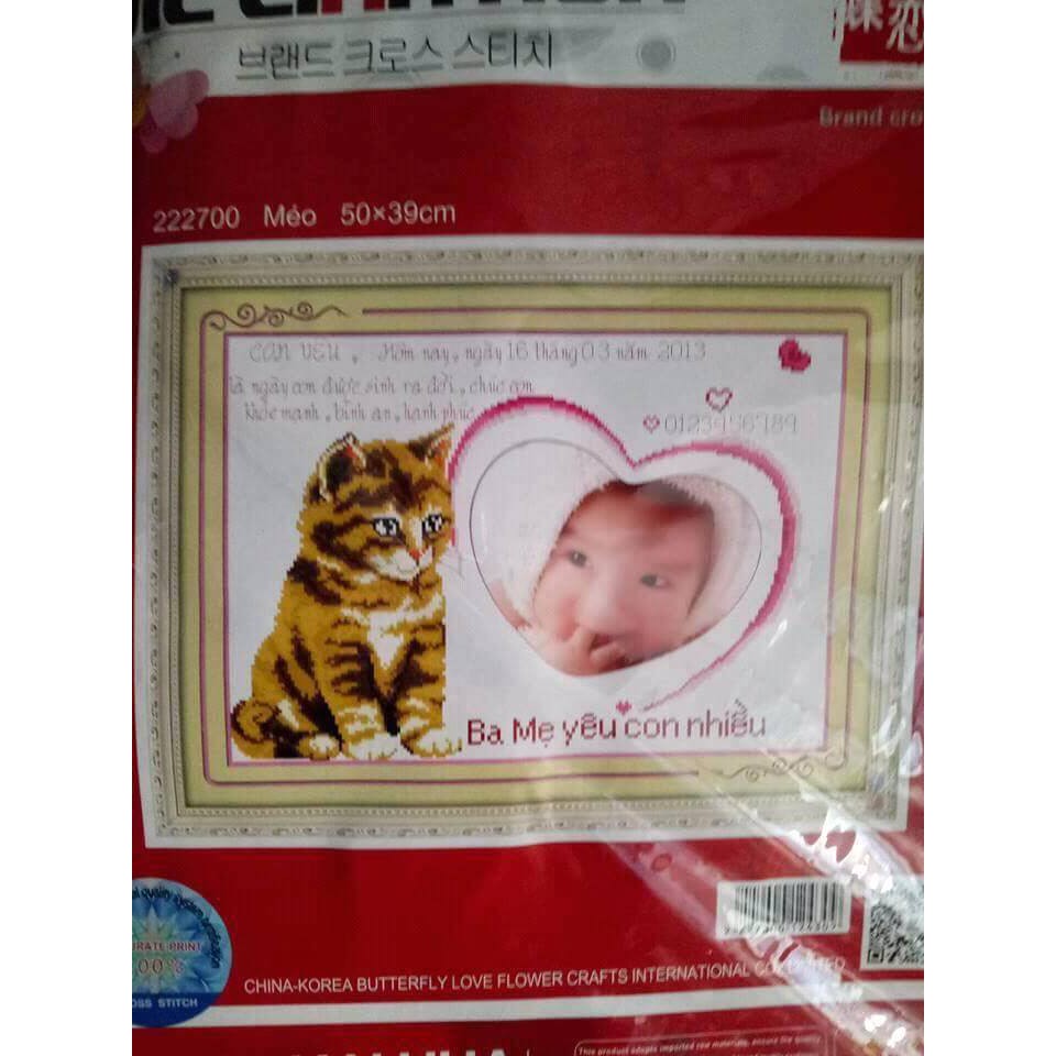 Tranh thêu chữ thập khung hình con giáp mèo 222700 50x39cm