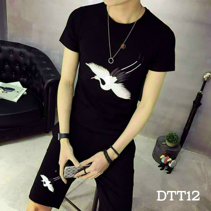 Đồ bộ thể thao Sale Bỏ Mẫu Đồ Thể Thao DTT12 Nam Mùa Hè Chất Thun Lạnh Đa Dạng, Trẻ Trung