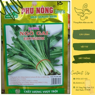 Hạt giống phú nông - ngò gai gói 2g - hạt giống - rau gia vị