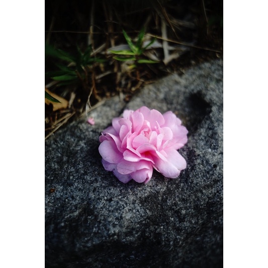 Ống kính MF Jupiter 12 35/2.8 ngàm L39 LTM