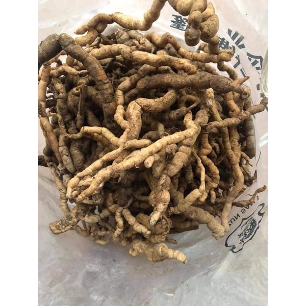 Ba kích rừng-1kg (Ba chẽ_Quảng Ninh)