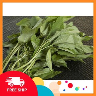 10g Hạt giống Rau đay trắng KHUYẾN MẠI TRONG NGAY