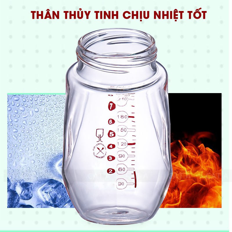 Bình Sữa thủy tinh, Bình Ti Sữa Cho Bé Có Tay Cầm Hàng mới về ( Dung tích 240ml )