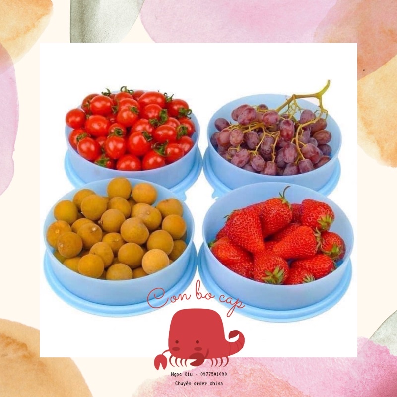 Hộp Nhựa Tròn Tupperware 500ml Đựng Thực Phẩm Ngăn Mát - Trữ Mát Rau Củ, Trái Cây, Thức Ăn - Đẹp An Toàn Tiện Lợi