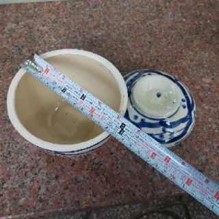 Thố đất Việt