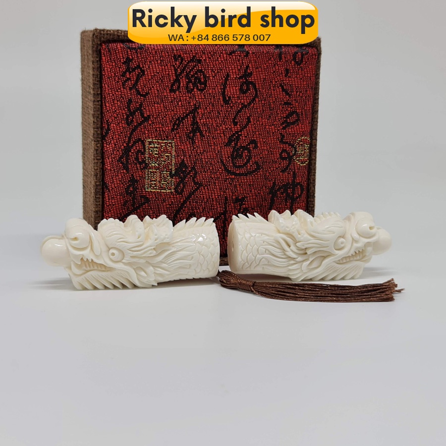 Đầu cầu Rồng cho lồng mi, khướu VIP