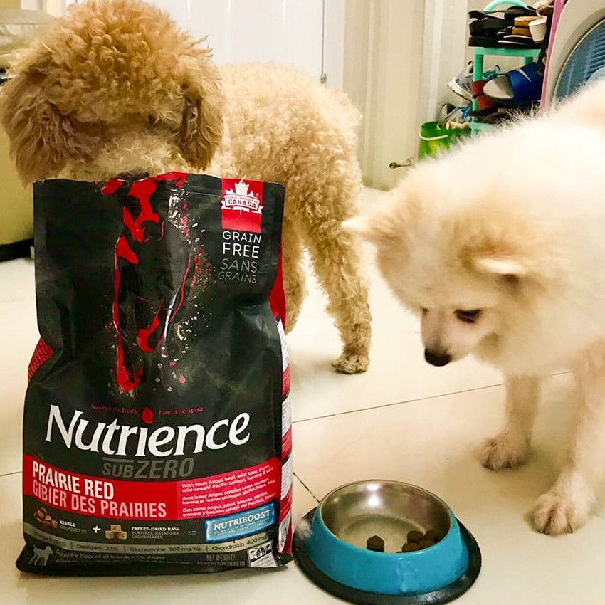 Thức Ăn Hạt Cho Chó Poodle Nutrience Subzero Da Lông Bóng Mượt Bao 2.27kg 6 Loại Thịt Cá, Rau Củ, Trái Cây