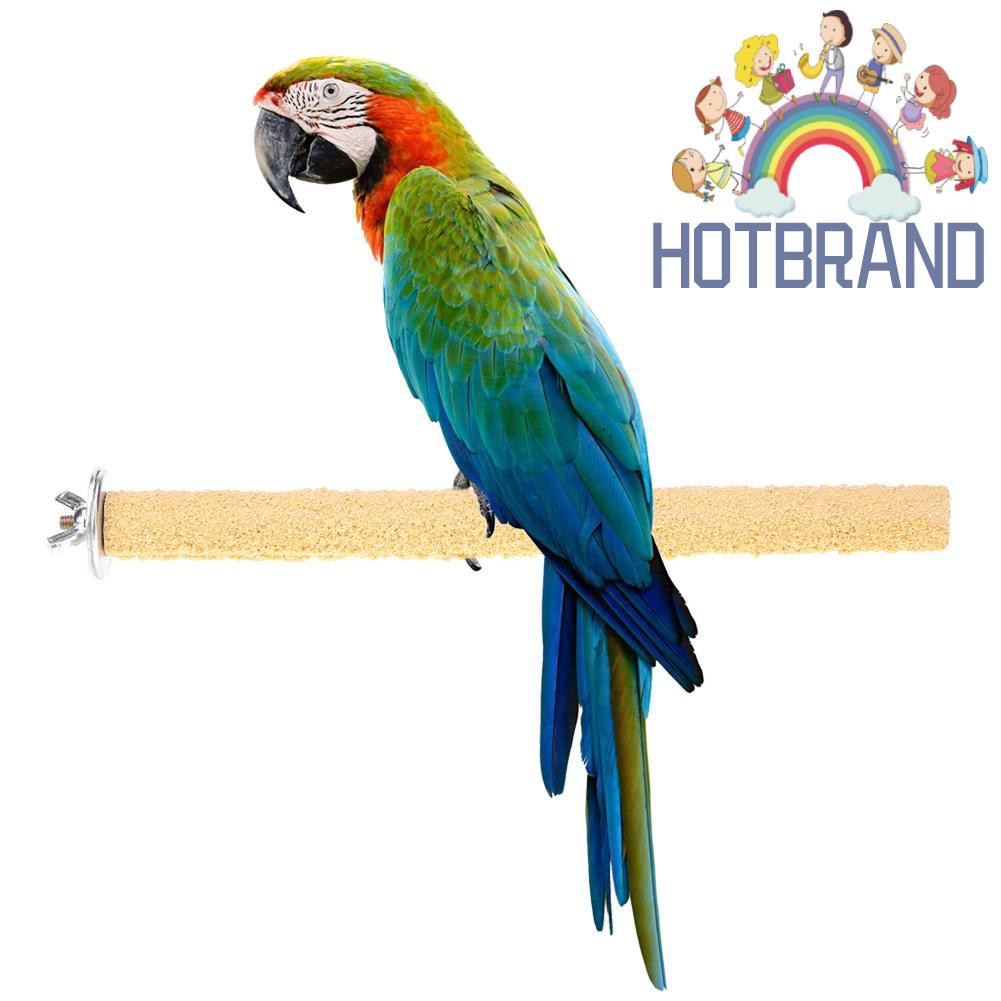 Giá đứng cho chim cảnh/vẹt nhiều màu sắc tùy chọn