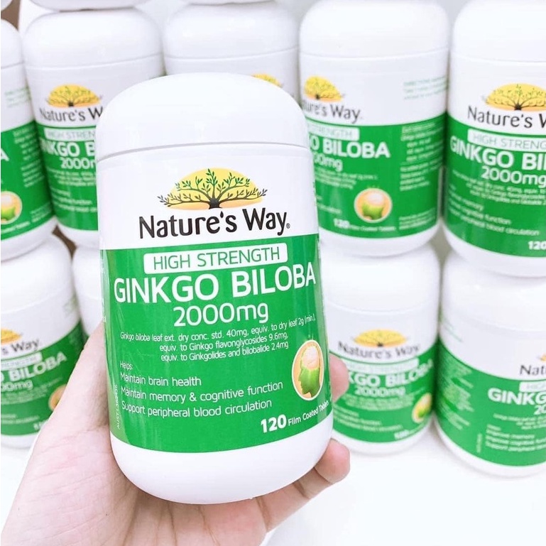 Viên Bổ Não, Tăng Cường Trí Nhớ - Nature's Way Ginkgo Biloba 2000 120 Viên