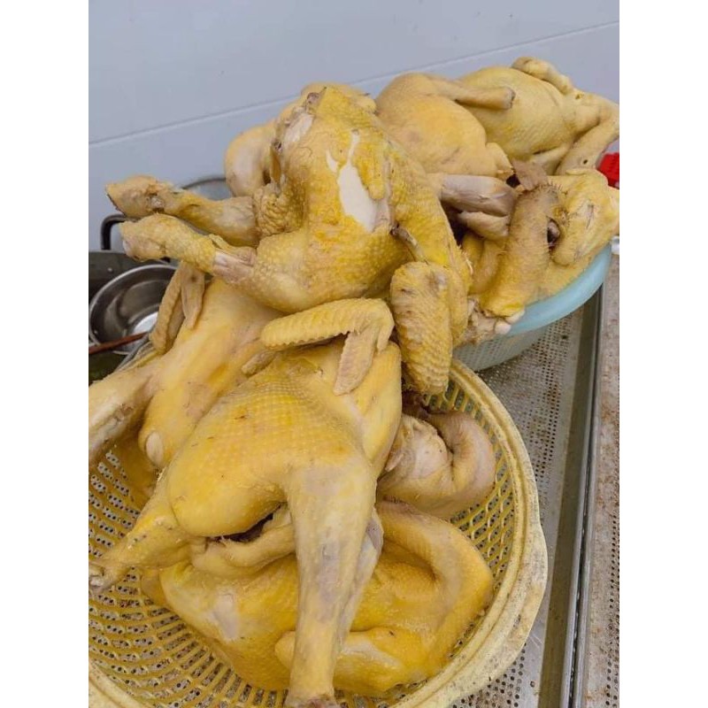 250g KHÔ GÀ LÁ CHANH NHÀ LÀM DAI NGON