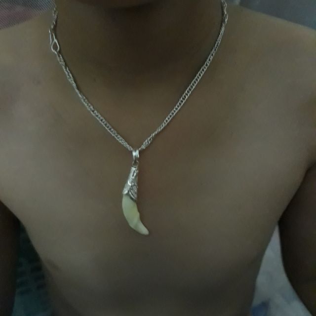 nanh sói bọc bạc