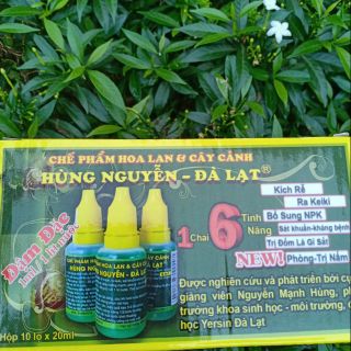 1 Hộp Chế phẩm hoa lan Hùng nguyễn