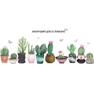 Decal Dán Tường Trang Trí Mẫu Chậu Cây Xương Rồng Rẻ, Đẹp, Bền KT 60x90cm DT005