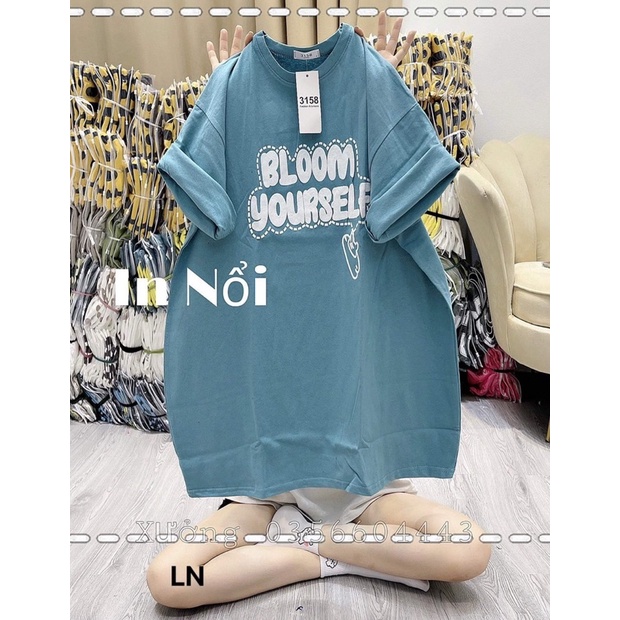 Áo phông Bloom DA6