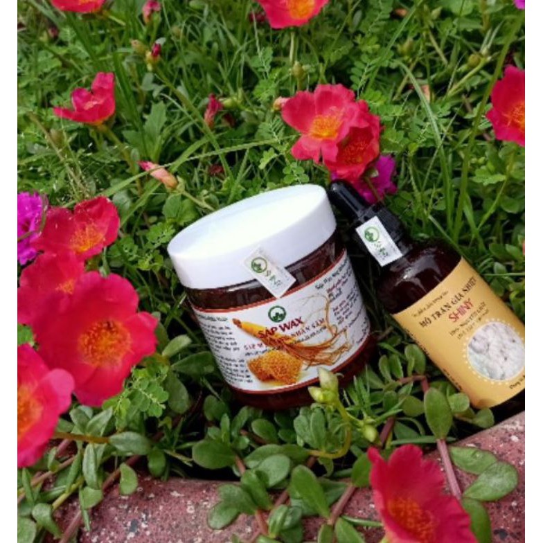 [Mã COS2704 giảm 8% đơn 250K] Combo Triệt Lông Sáp Wax + Mỡ Trăn Shiny Handmade (Tặng Kèm Dụng Cụ Wax) | BigBuy360 - bigbuy360.vn