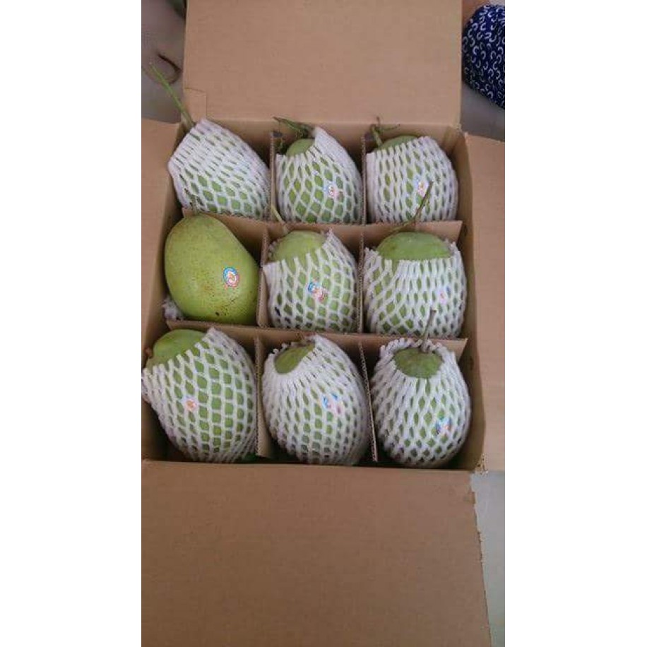 Xoài xanh  1kg - - giao hàng ifast - ifast.com.vn - cbig.vn - hệ thống tạp hóa cbig.vn
