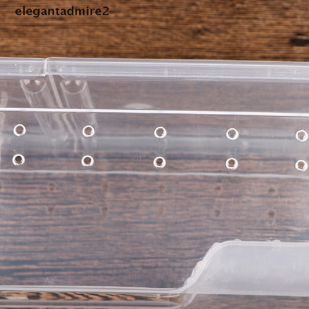 Hộp Lụa Đựng Thức Ăn Cho Bò Sát Tiện Dụng