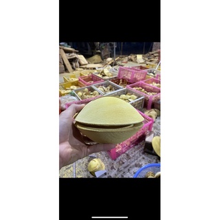 miệng sáo đơn từ 33-60