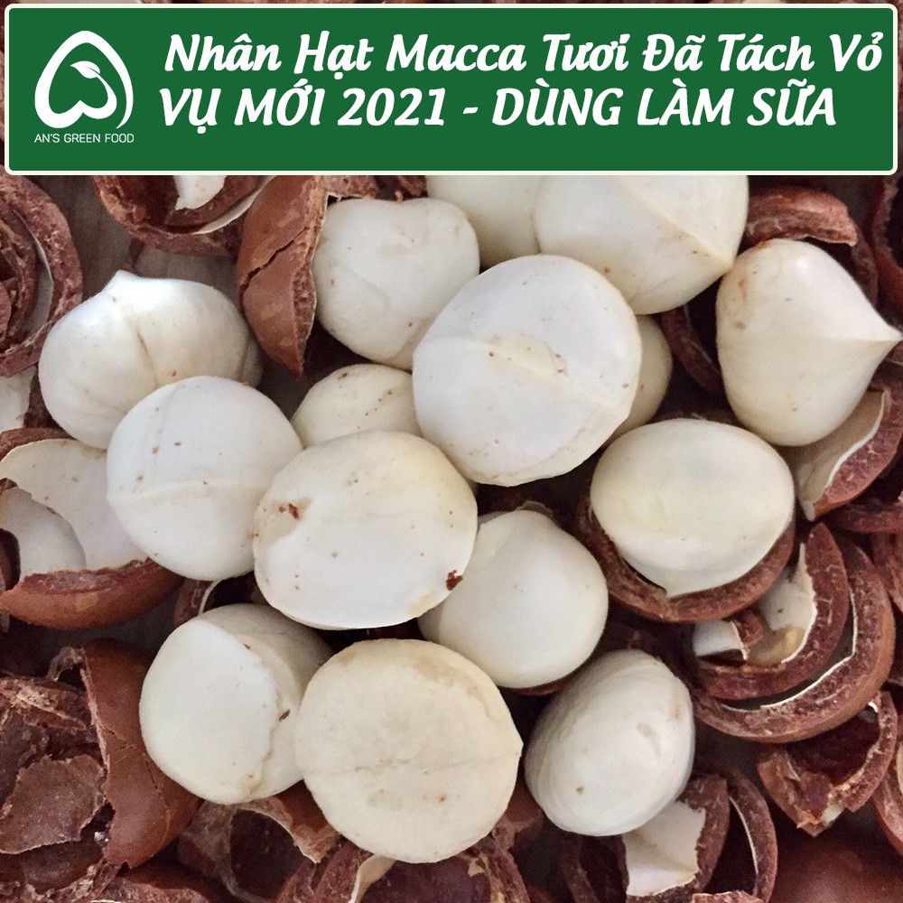 Nhân Macca Tươi Đã Tách Vỏ - Dùng Làm Sữa - Macca Đaklak vụ mới 2021 - An’s Green Food (500g)