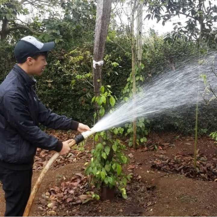 Đầu Béc Tưới Cây Nhật Việt Dùng Tưới Cây Và Xịt Chuồng Trại Gắn Ống 21 Đến 60