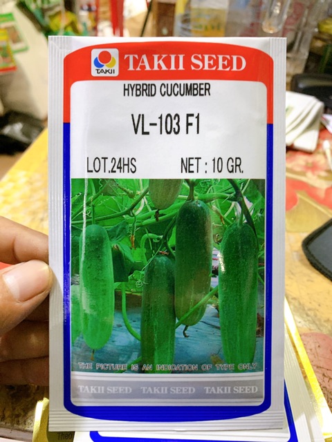 HẠT GIỐNG DƯA LEO VL-103 F1 - Gói 10Gr