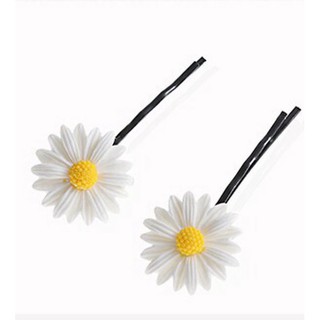 SET 2C Kẹp Tóc hoa Cúc Họa Mi
