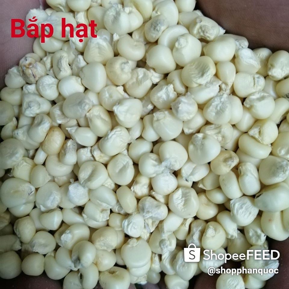 NGÔ NẾP TRẮNG XAY ,HẠT, XAY TO 5 KG