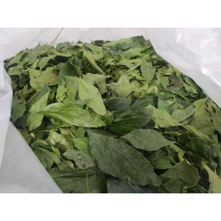 1KG LÁ MẮC MẬT SẤY KHÔ(SẤY LẠNH)-XANH THƠM TÂY BẮC