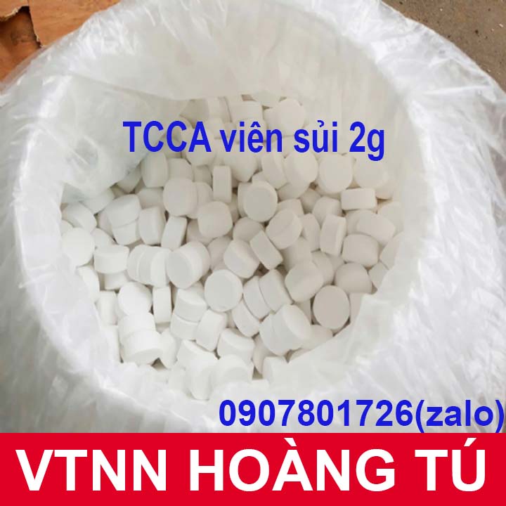Clo viên sủi 2gram - 1 kg Viên sủi TCCA 2g xử lí nước hồ bơi, khử trùng diệt khuẩn