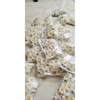 Hoa cúc Daisy lụa xinh xắn