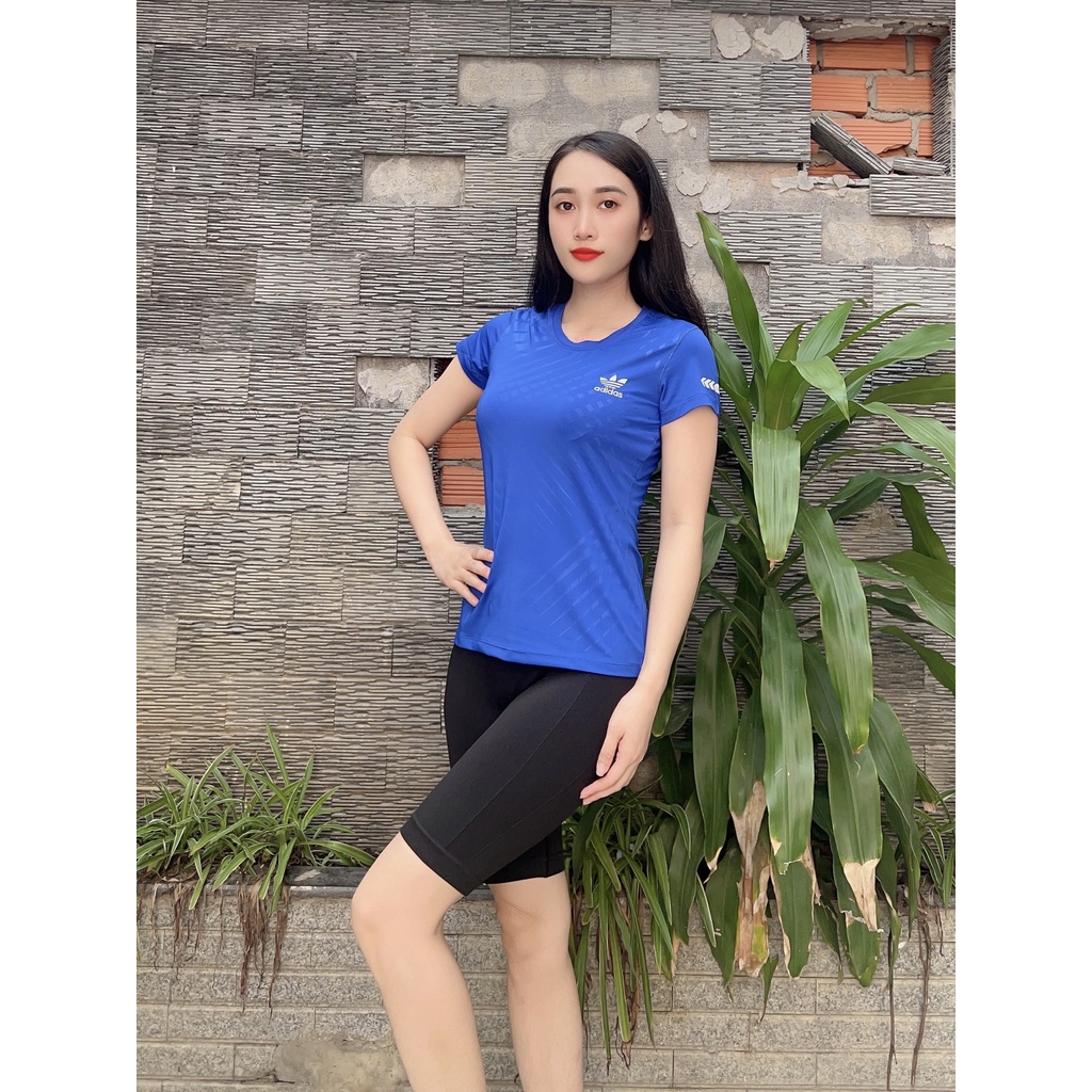 [ FREE SHIP ] Áo Thun Nữ Tập Gym Yoga Chạy Bộ 4 mã DN08