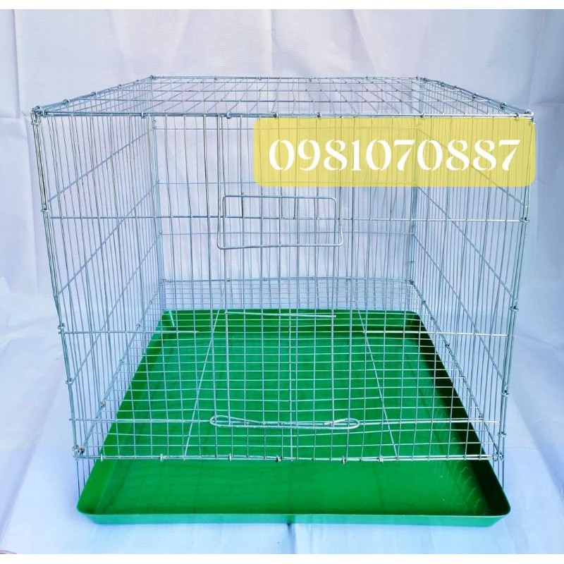 Lồng mèo tặng khay hứng phân