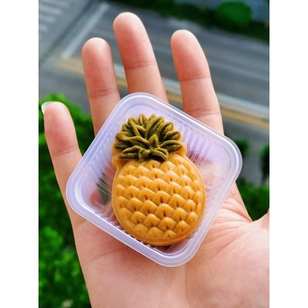 Khuôn trung thu lò xo hình TRÁI DỨA 30g 2 mặt 1 nhấn và 4 mặt 1 nhấn