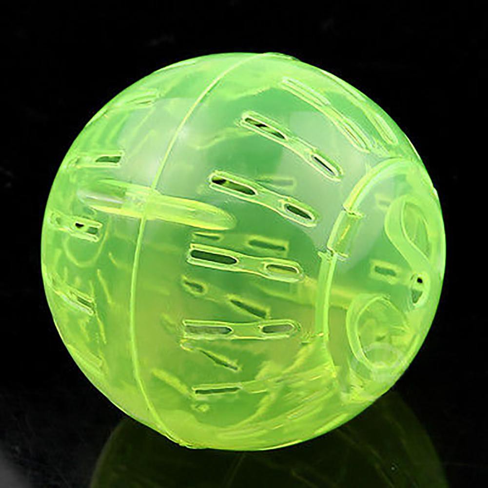 Bóng nhựa đồ chơi cho chuột hamster