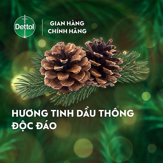 COMBO CHAI NƯỚC RỬA TAY DETTOL KHÁNG KHUẨN 250G + TÚI 225G